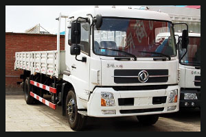   Dongfeng
